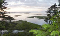 View on Nainamo Bay from the Living Forest Campground
