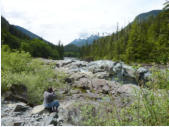 Mckenzie Range halfway Hwy 4 from Port Alberni to Tofino