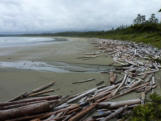 Long Beach, Pacific Rim National Park