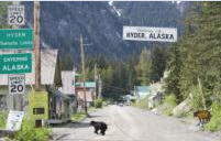 Mainstreet Hyder, Alaska USA with crossing bear