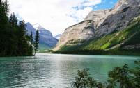 Fraser River near Mount Robson