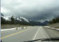 Mountain Sheep on Hwy 40, Peter Lougheed Provincial Park, Alberta, Canada