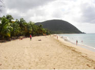 Plage Grande Anse, Deshaies, Guadeloupe