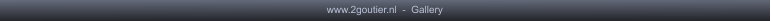 www.2goutier.nl  -  Gallery